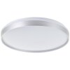 Brilliant lights Britt ceiling light LED white, 1-light source, Remote control