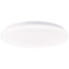 Brilliant lights Troba ceiling light LED white, 1-light source, Remote control