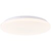 Brilliant lights Troba ceiling light LED white, 1-light source, Remote control