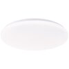 Brilliant lights Troba ceiling light LED white, 1-light source, Remote control