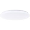 Brilliant lights Troba ceiling light LED white, 1-light source, Remote control