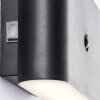 Brilliant lights Xino outdoor wall light LED black, 1-light source