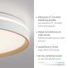 Paul Neuhaus lights MIO ceiling light LED sand-coloured, 1-light source, Remote control