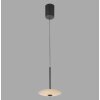 Paul Neuhaus lights ELIPSA pendant light LED black, 1-light source