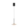 Paul Neuhaus lights ELIPSA pendant light LED black, 1-light source