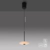 Paul Neuhaus lights ELIPSA pendant light LED black, 1-light source