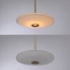Paul Neuhaus lights ELIPSA pendant light LED bronze, 1-light source