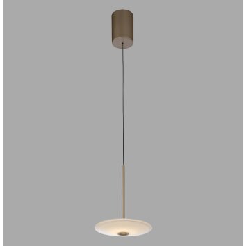 Paul Neuhaus lights ELIPSA pendant light LED bronze, 1-light source