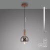 Paul Neuhaus lights BOWL pendant light LED brown, 1-light source