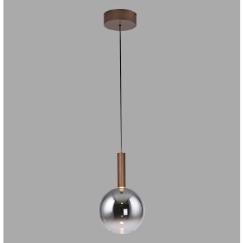 Paul Neuhaus lights BOWL pendant light LED brown, 1-light source
