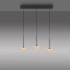 Paul Neuhaus lights ELIPSA pendant light LED black, 3-light sources