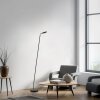 Paul Neuhaus lights BENTE floor lamp LED black, 1-light source