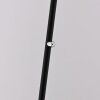 Paul Neuhaus lights BENTE floor lamp LED black, 1-light source