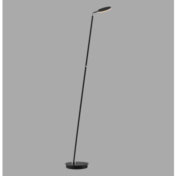 Paul Neuhaus lights BENTE floor lamp LED black, 1-light source