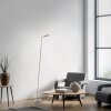 Paul Neuhaus lights BENTE floor lamp LED brass, 1-light source