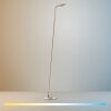 Paul Neuhaus lights BENTE floor lamp LED brass, 1-light source