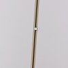 Paul Neuhaus lights BENTE floor lamp LED brass, 1-light source