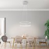 Paul Neuhaus lights CONTURA pendant light LED white, 2-light sources