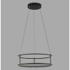 Paul Neuhaus lights CONNI pendant light LED black, 2-light sources