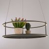 Paul Neuhaus lights CONNI pendant light LED black, 2-light sources