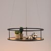 Paul Neuhaus lights CONNI pendant light LED black, 2-light sources