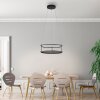 Paul Neuhaus lights CONNI pendant light LED black, 2-light sources
