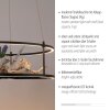 Paul Neuhaus lights CONNI pendant light LED black, 2-light sources