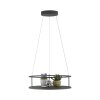 Paul Neuhaus lights CONNI pendant light LED black, 2-light sources