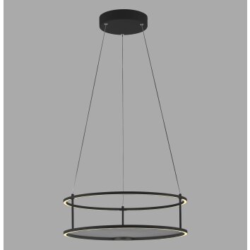Paul Neuhaus lights CONTURA pendant light LED black, 2-light sources