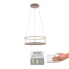 Paul Neuhaus lights CONTURA pendant light LED sand-coloured, 2-light sources