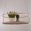 Paul Neuhaus lights CONTURA pendant light LED sand-coloured, 2-light sources