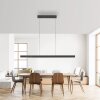 Paul Neuhaus lights Square pendant light LED anthracite, 6-light sources
