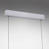 Paul Neuhaus lights Lift pendant light LED aluminium, 3-light sources