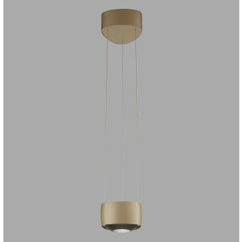 Paul Neuhaus Q-Serie Q-STRETTO pendant light LED bronze, 2-light sources, Remote control