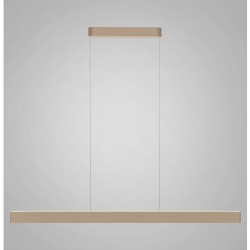 Paul Neuhaus Q-Serie Q-STRETTO pendant light LED bronze, 2-light sources, Remote control