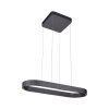 Paul Neuhaus Q-Serie Q-STRETTO pendant light LED black, 2-light sources, Remote control