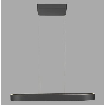 Paul Neuhaus Q-Serie Q-STRETTO pendant light LED black, 2-light sources, Remote control