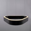 Paul Neuhaus Q-Serie Q-STRETTO pendant light LED black, 2-light sources, Remote control