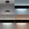 Paul Neuhaus Q-Serie Q-STRETTO pendant light LED black, 2-light sources, Remote control