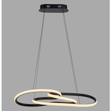 Paul Neuhaus lights TWIST pendant light LED black, 1-light source