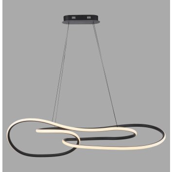 Paul Neuhaus lights TWIST pendant light LED black, 1-light source