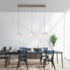 Paul Neuhaus lights MARIKA pendant light LED sand-coloured, 3-light sources