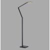 Paul Neuhaus lights SAMSKY floor lamp LED grey, 1-light source