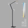 Paul Neuhaus lights SAMSKY floor lamp LED grey, 1-light source