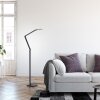 Paul Neuhaus lights SAMSKY floor lamp LED grey, 1-light source