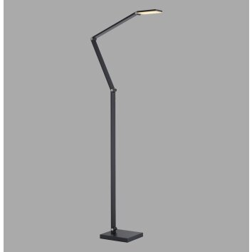 Paul Neuhaus lights SAMSKY floor lamp LED grey, 1-light source