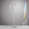 Paul Neuhaus lights SAMSKY floor lamp LED silver, 1-light source
