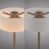 Paul Neuhaus lights MARIKA table lamp LED sand-coloured, 1-light source