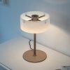 Paul Neuhaus lights MARIKA table lamp LED sand-coloured, 1-light source