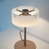 Paul Neuhaus lights MARIKA table lamp LED sand-coloured, 1-light source
